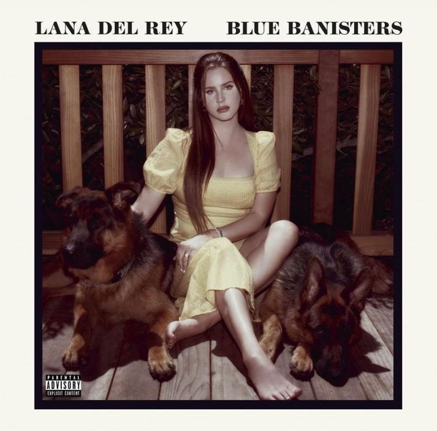 Lana Del Rey photographed by Neil Krug for the Blue Banisters album cover.