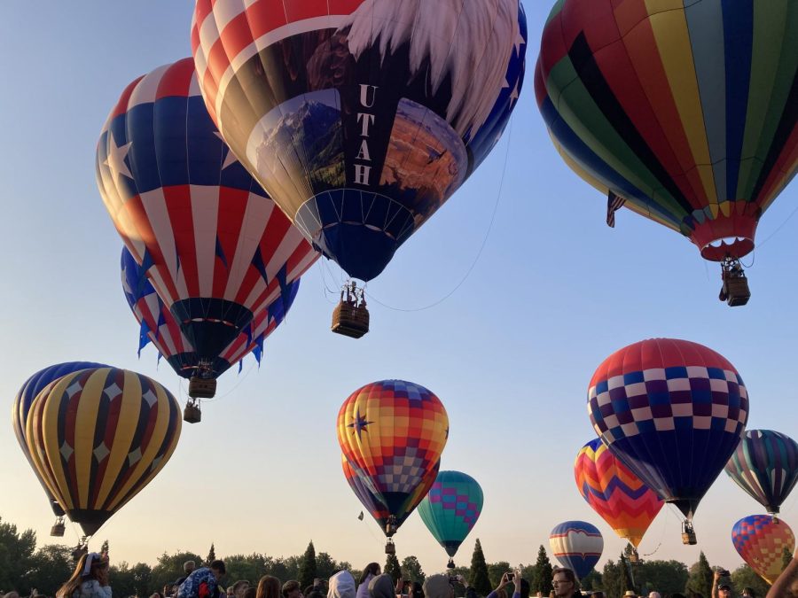 A variety of hot air balloons fly through the early morning hours