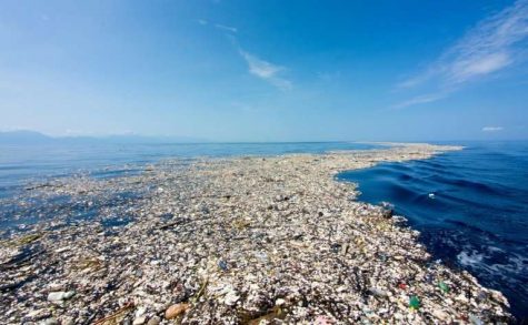 This Photo was taken for Phys.org. An example of Plastic in the Ocean.