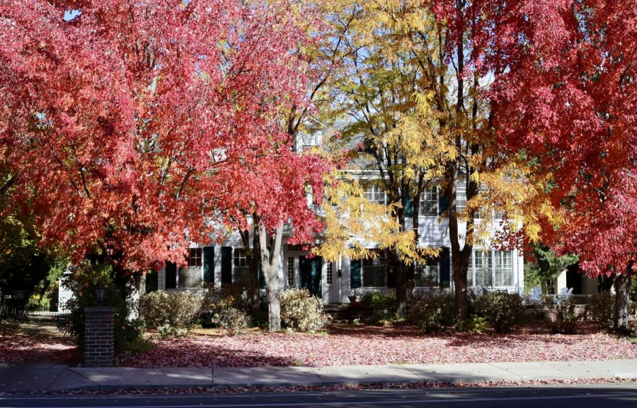 A Warm Springs homes swallowed up by an explosion of brightly colored fall leaves.  Behind these trees, lays a beautiful home with green shutters and a matching colored door. 
