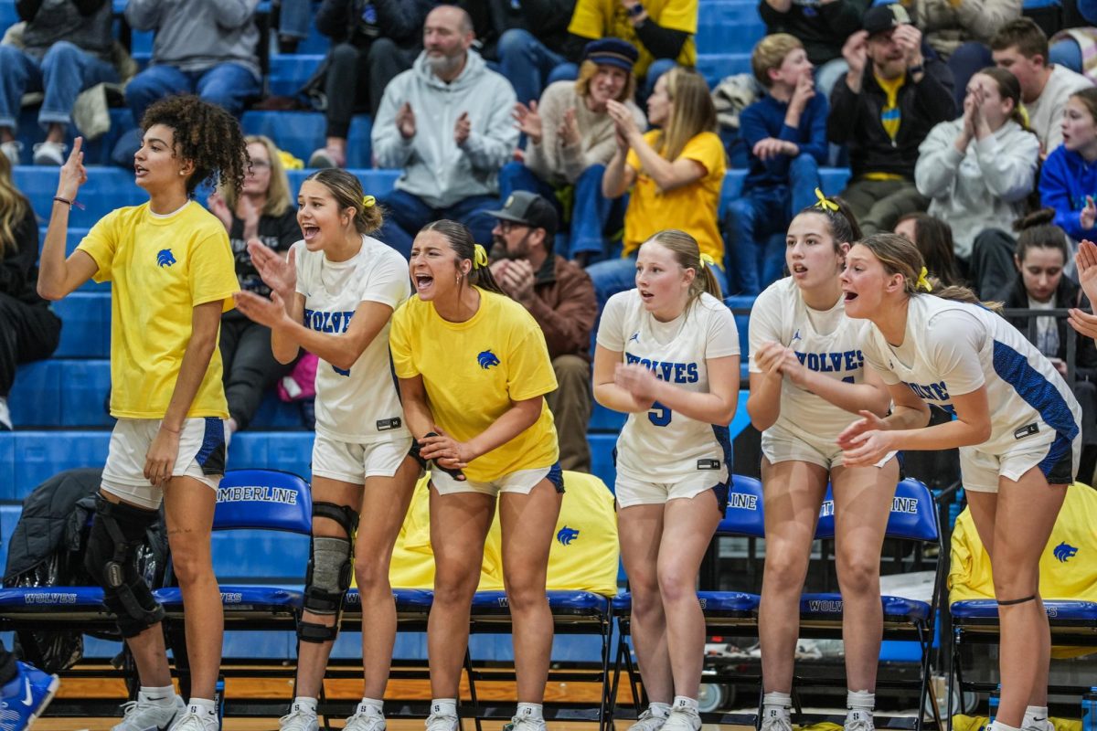 The girls varsity basketball bench fired up after a Mollie Traber (Sr.) three-pointer.