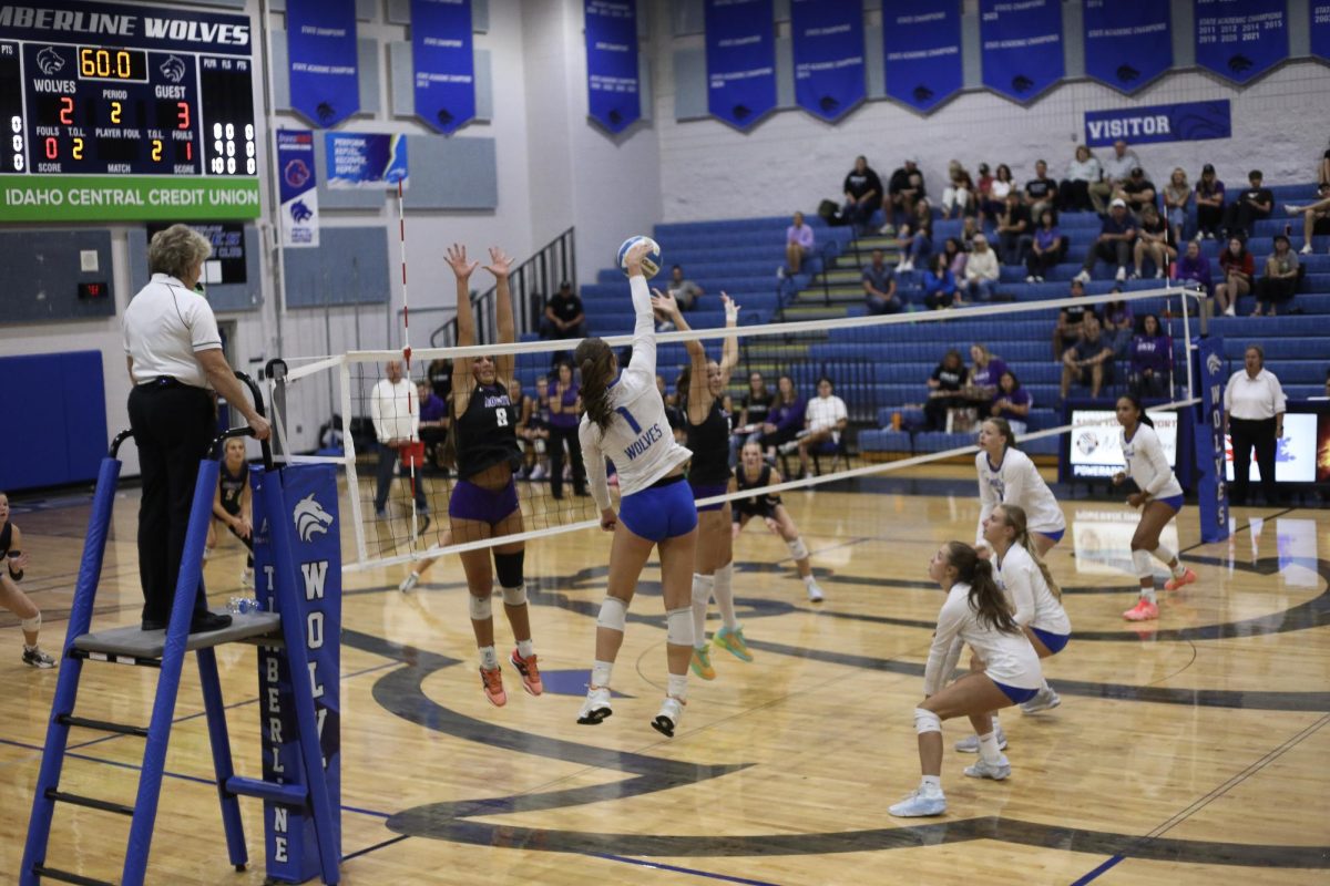 Lily Mesevier (Jr.) gets a kill against Rocky.