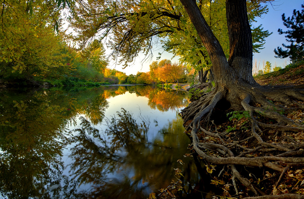 "Boise River Autumn" by Knowles Gallery is licensed under CC BY 2.0.
